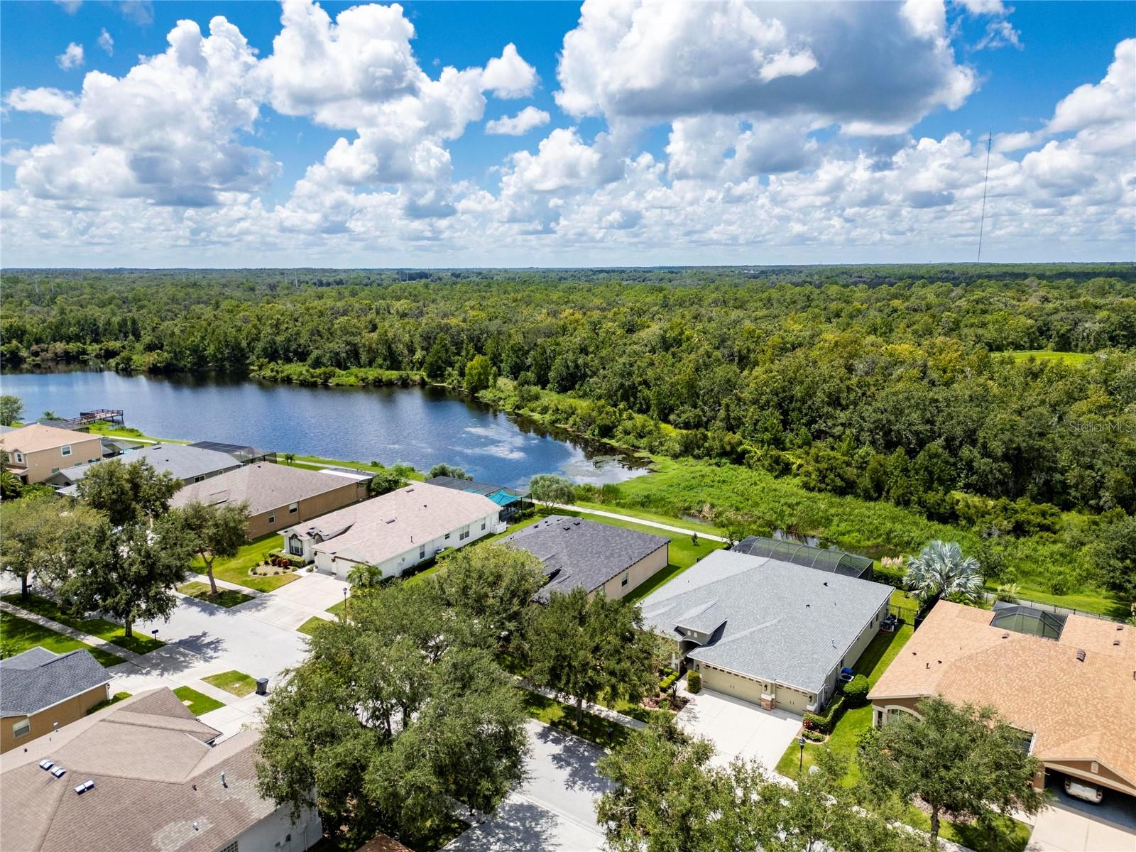 16149 BRIDGEPARK DR, LITHIA, FL, 33547