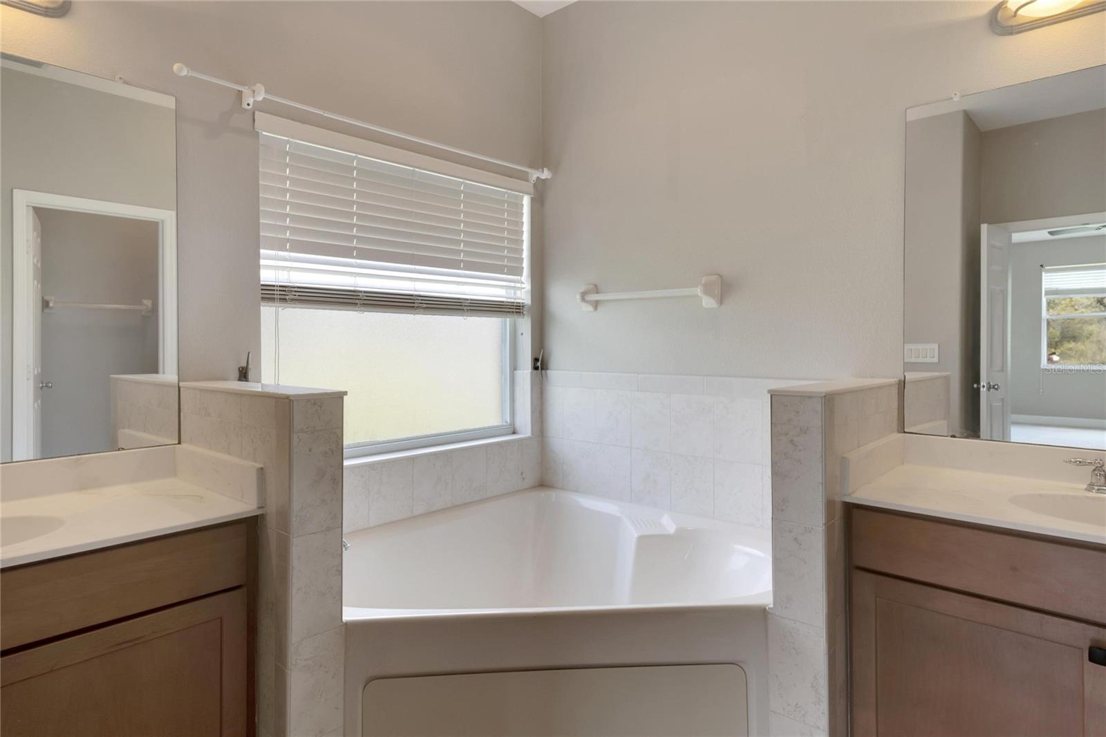 16149 BRIDGEPARK DR, LITHIA, FL, 33547