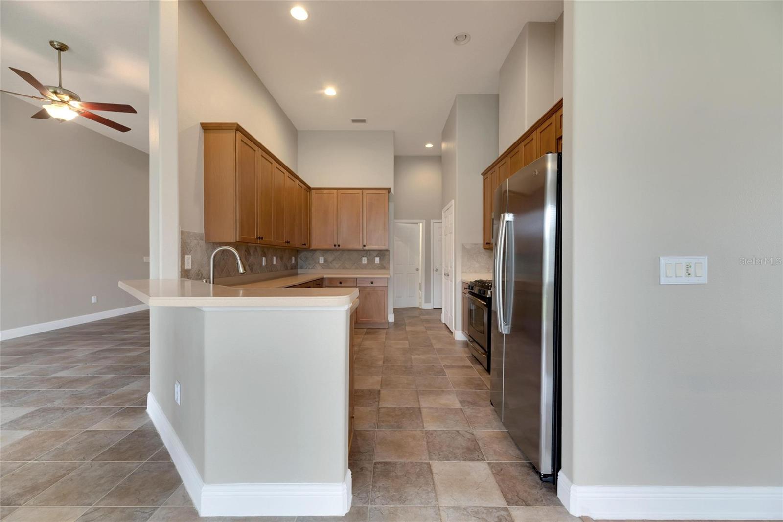 16149 BRIDGEPARK DR, LITHIA, FL, 33547