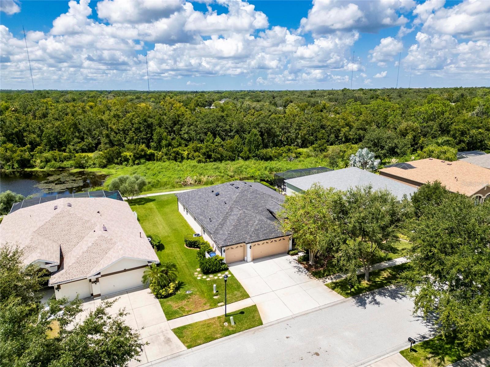 16149 BRIDGEPARK DR, LITHIA, FL, 33547