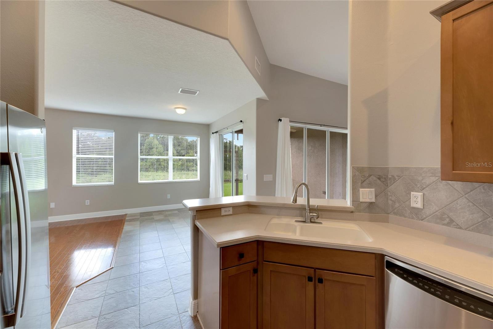 16149 BRIDGEPARK DR, LITHIA, FL, 33547