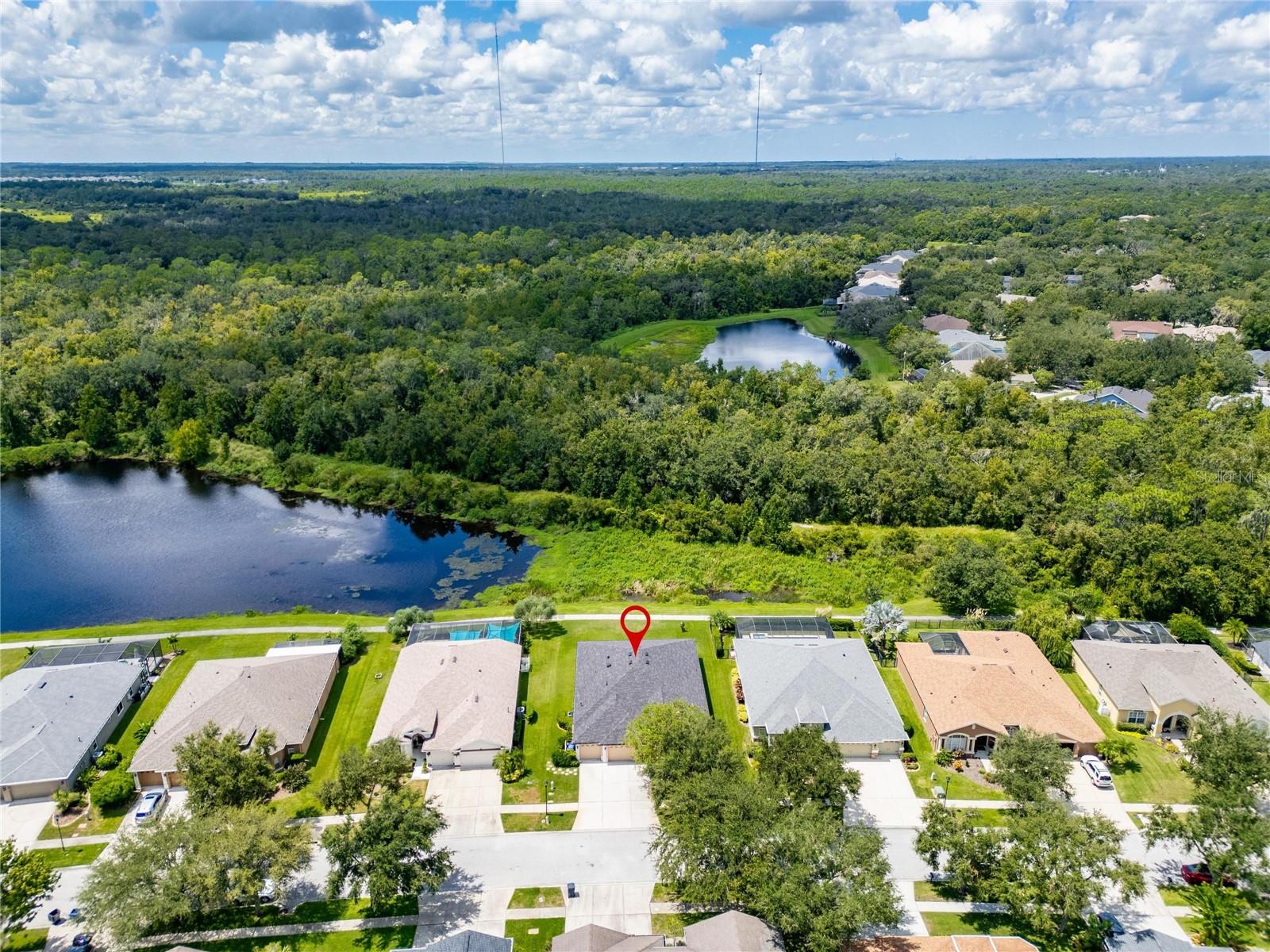 16149 BRIDGEPARK DR, LITHIA, FL, 33547