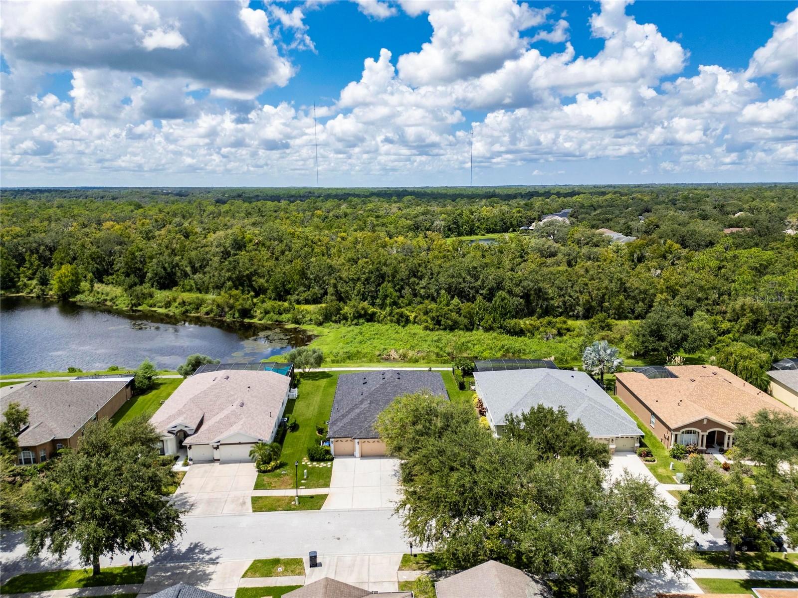 16149 BRIDGEPARK DR, LITHIA, FL, 33547
