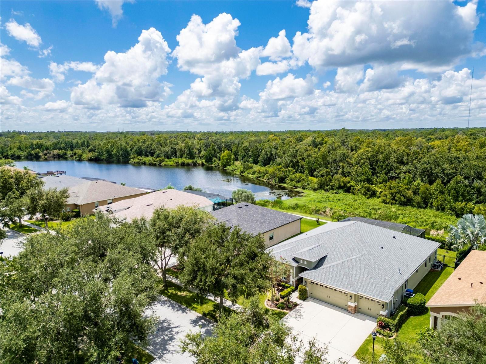 16149 BRIDGEPARK DR, LITHIA, FL, 33547