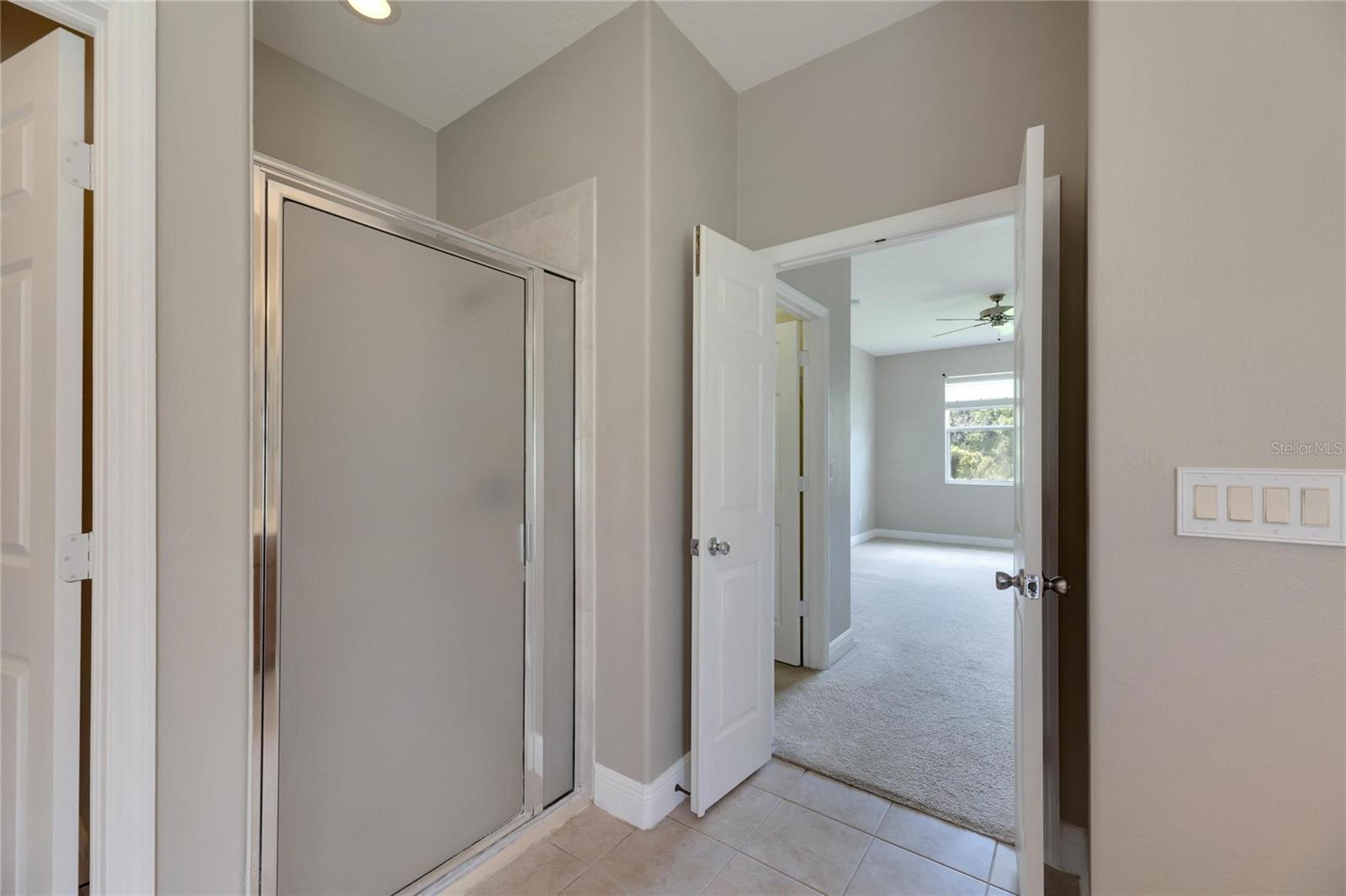 16149 BRIDGEPARK DR, LITHIA, FL, 33547