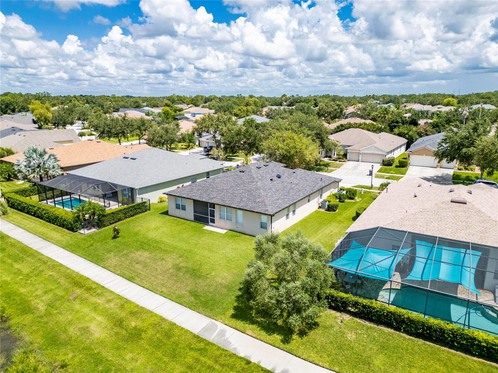 16149 BRIDGEPARK DR, LITHIA, FL, 33547