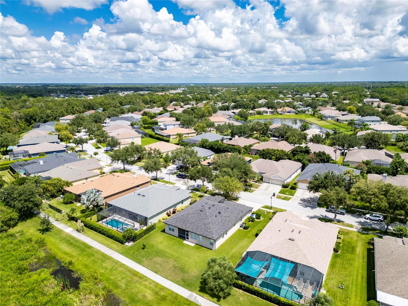 16149 BRIDGEPARK DR, LITHIA, FL, 33547