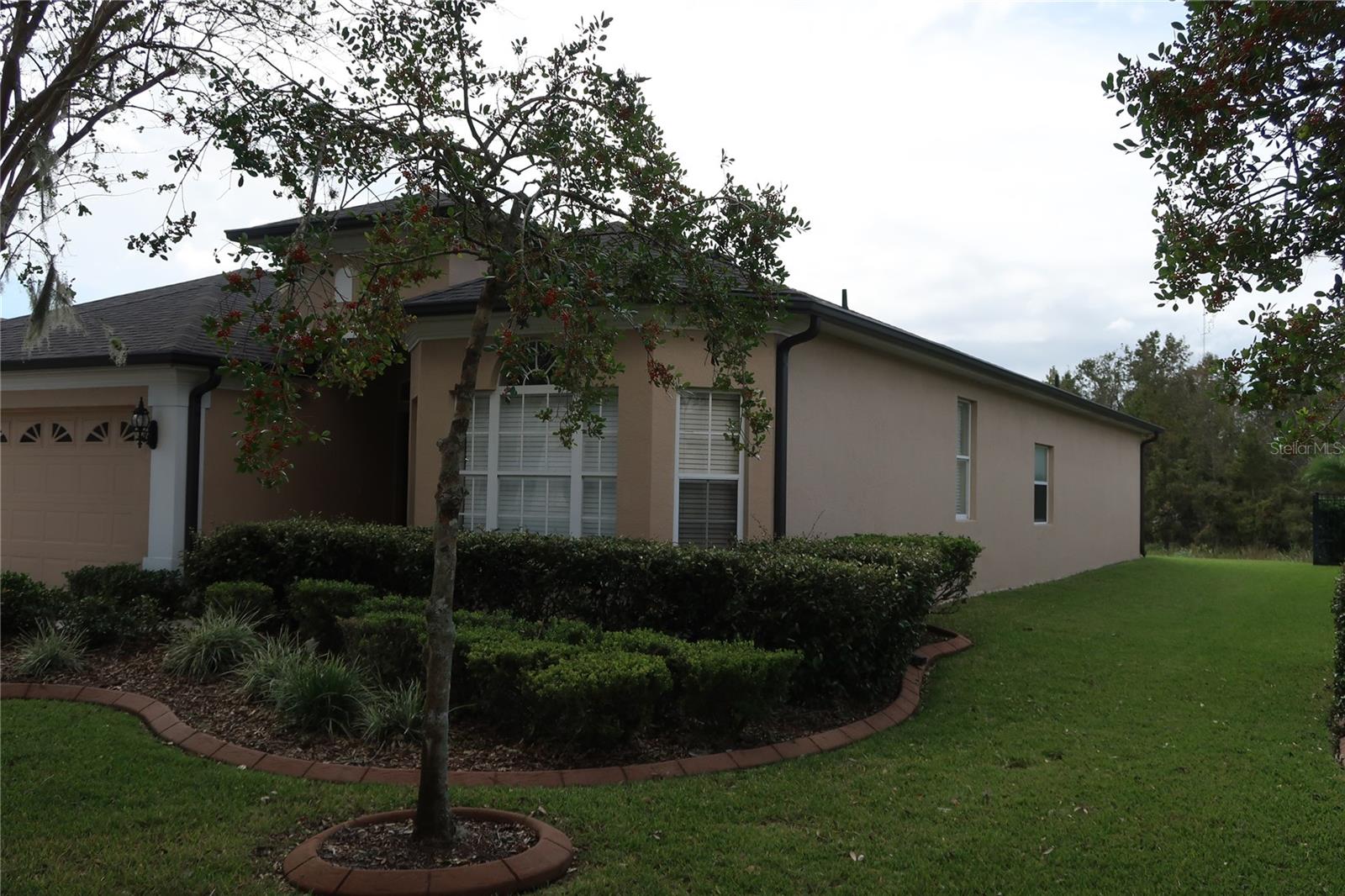 16149 BRIDGEPARK DR, LITHIA, FL, 33547