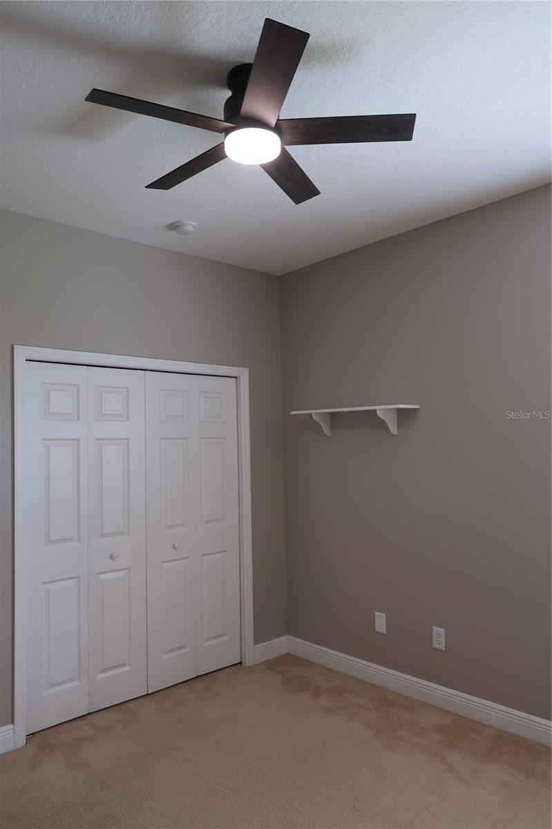 16149 BRIDGEPARK DR, LITHIA, FL, 33547