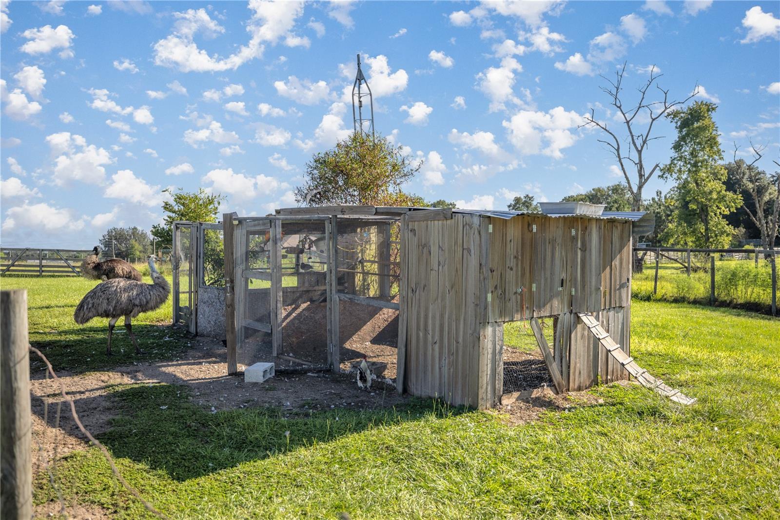 16300 SE HIGHWAY 42, WEIRSDALE, FL, 32195