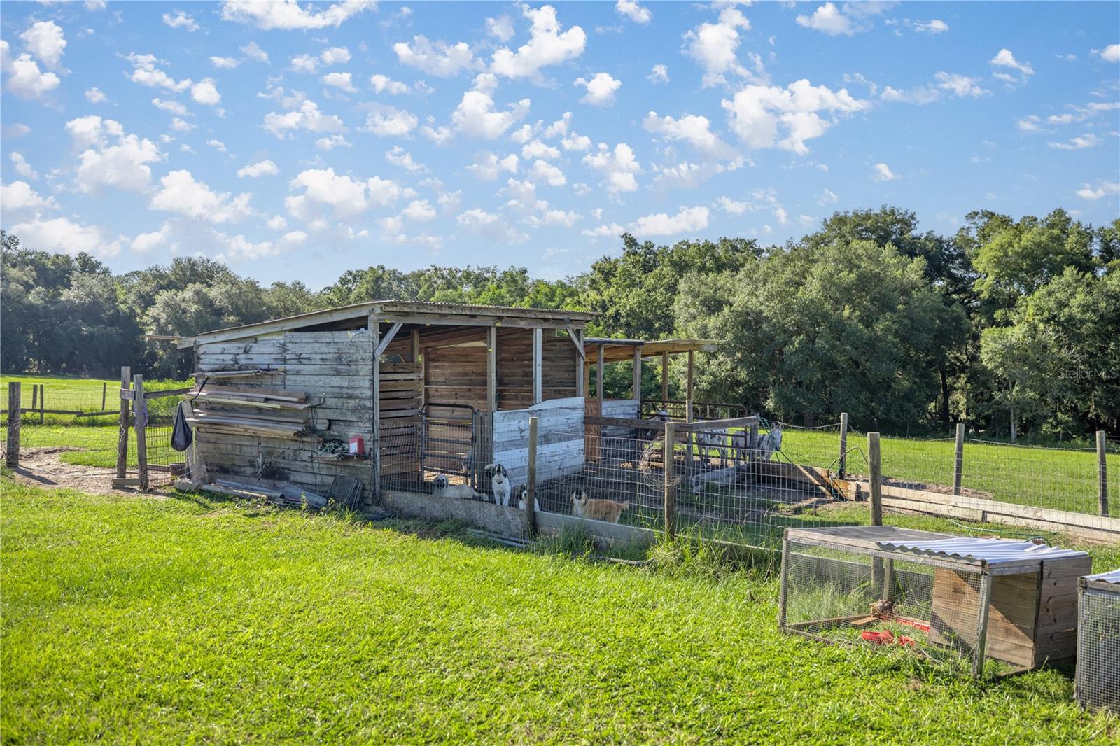 16300 SE HIGHWAY 42, WEIRSDALE, FL, 32195