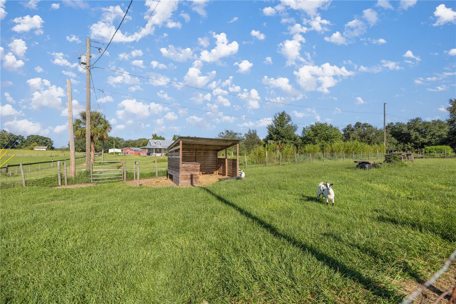 16300 SE HIGHWAY 42, WEIRSDALE, FL, 32195