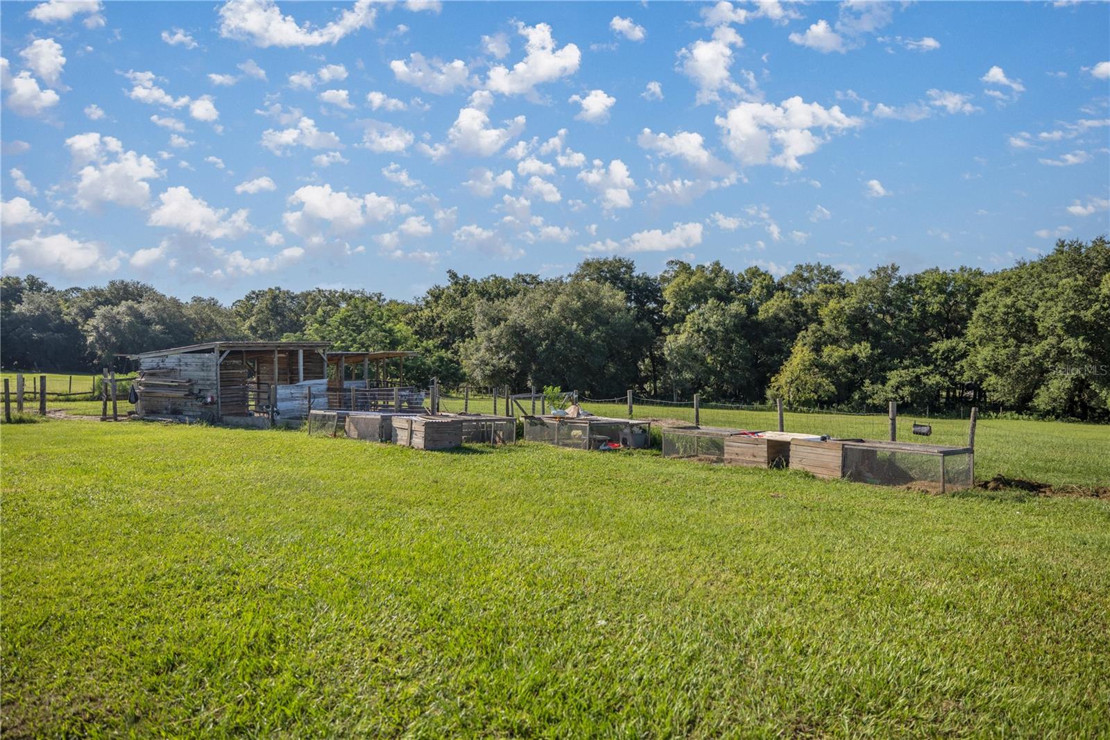 16300 SE HIGHWAY 42, WEIRSDALE, FL, 32195