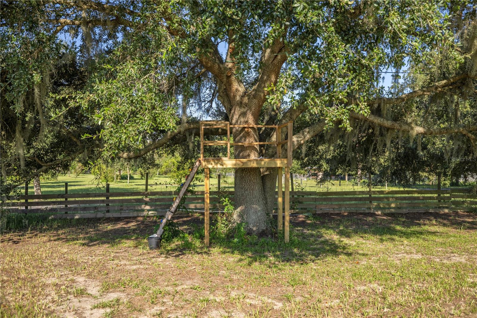 16300 SE HIGHWAY 42, WEIRSDALE, FL, 32195