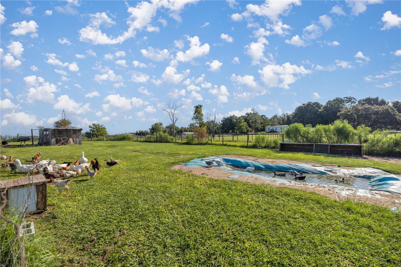 16300 SE HIGHWAY 42, WEIRSDALE, FL, 32195