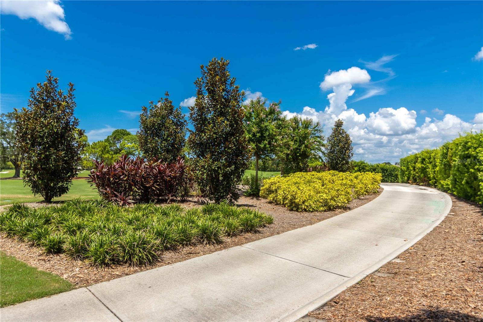 54 PELICAN PL, BELLEAIR, FL, 33756