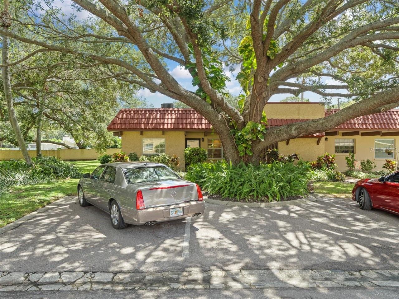 1845 S HIGHLAND AVE #7-1, CLEARWATER, FL, 33756