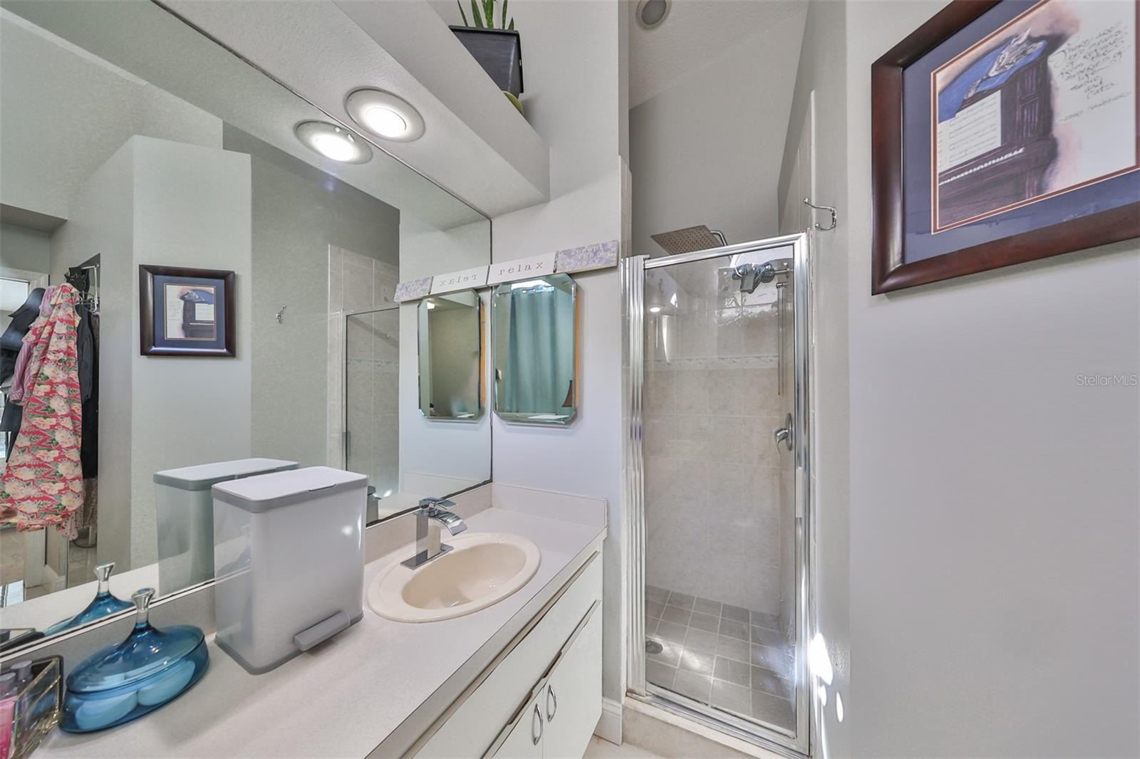 17721 RIDGEWAY POINT PL, TAMPA, FL, 33647