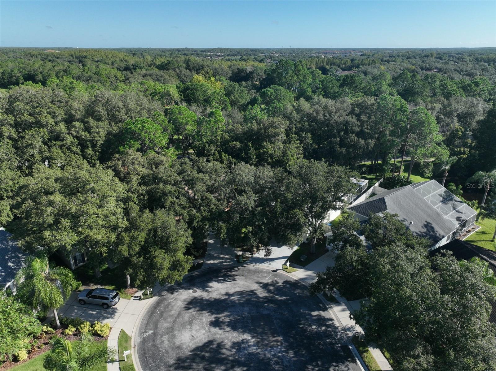 17721 RIDGEWAY POINT PL, TAMPA, FL, 33647