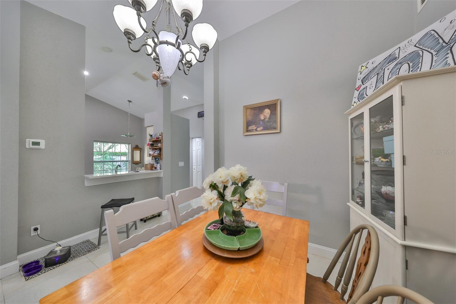17721 RIDGEWAY POINT PL, TAMPA, FL, 33647