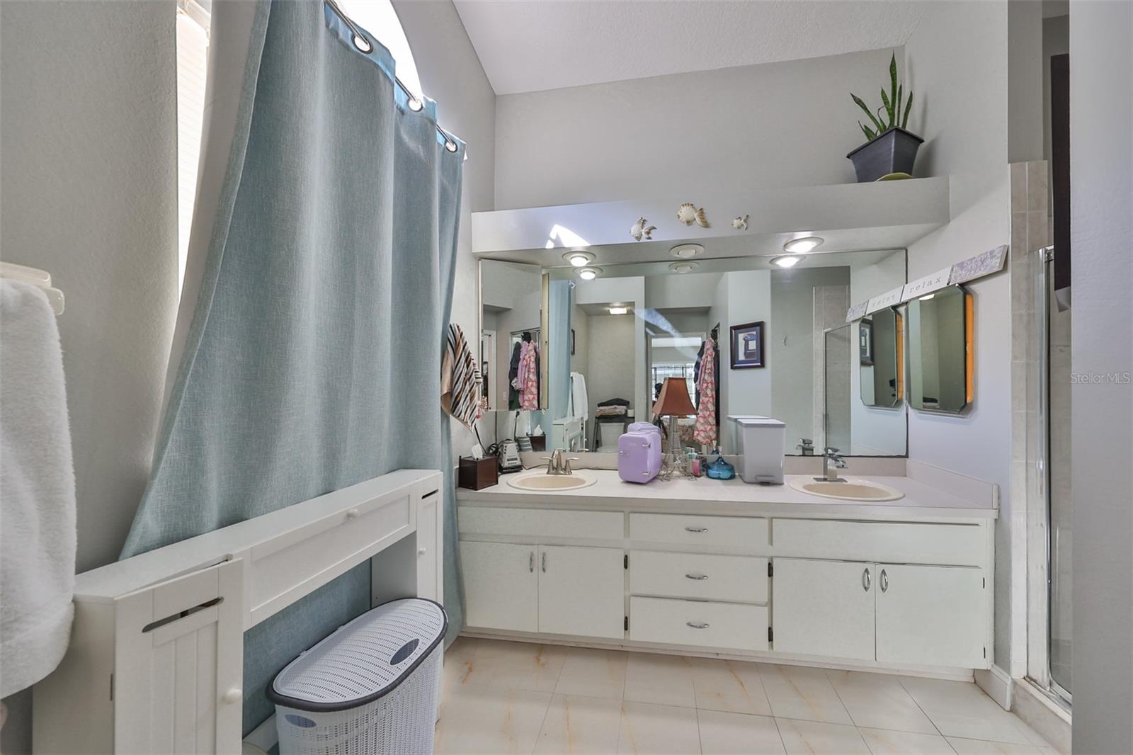 17721 RIDGEWAY POINT PL, TAMPA, FL, 33647