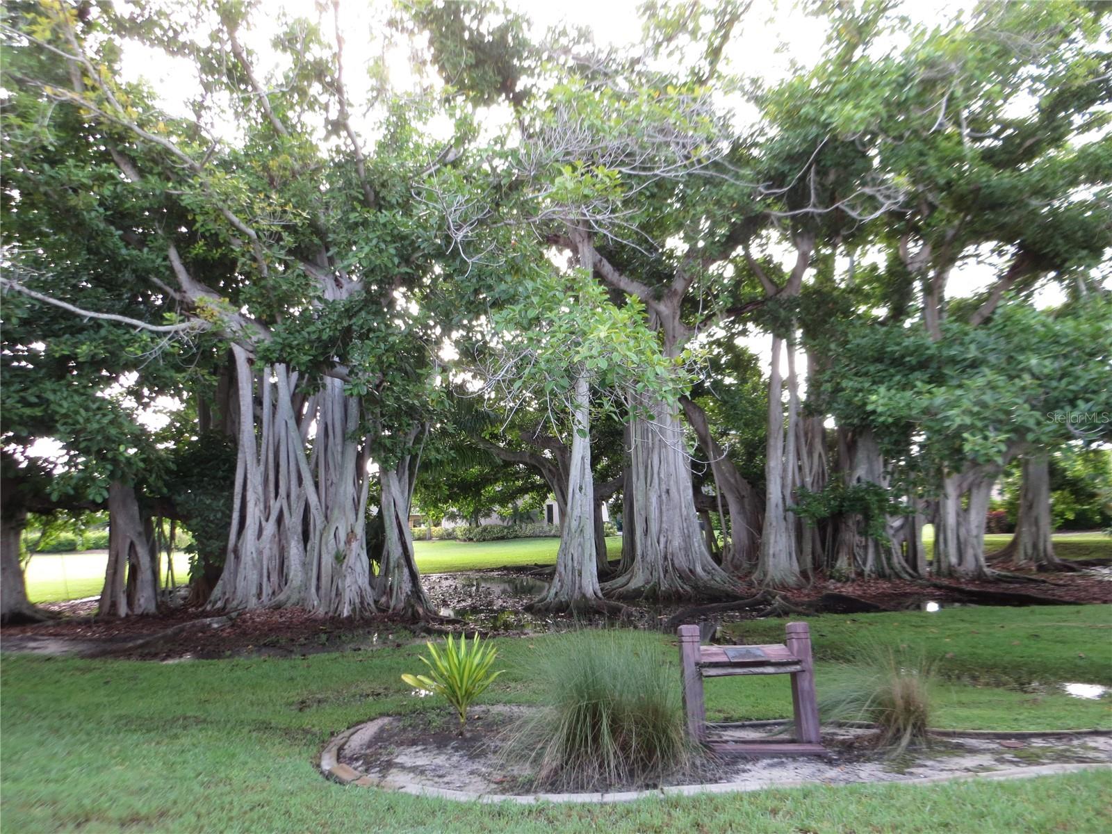 601 SHREVE ST #12B, PUNTA GORDA, FL, 33950