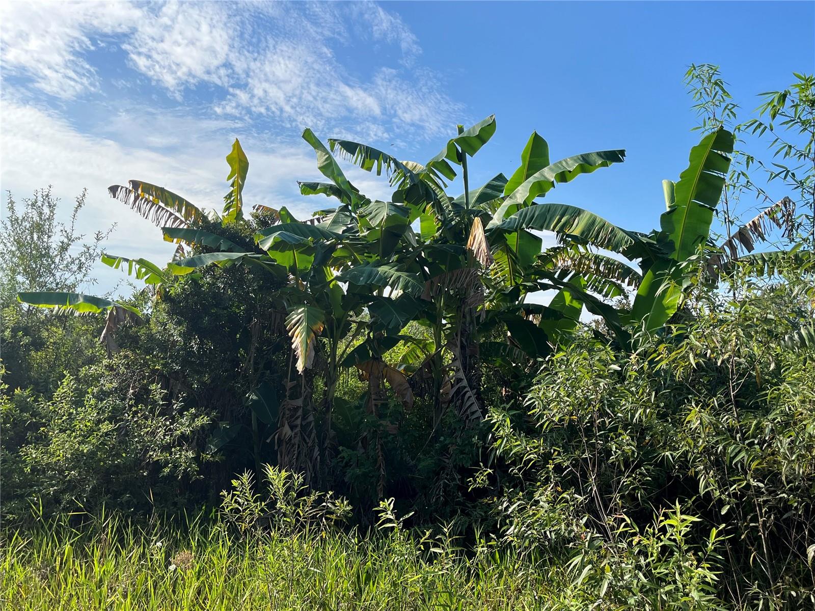19466 NW 258TH ST, OKEECHOBEE, FL, 34972