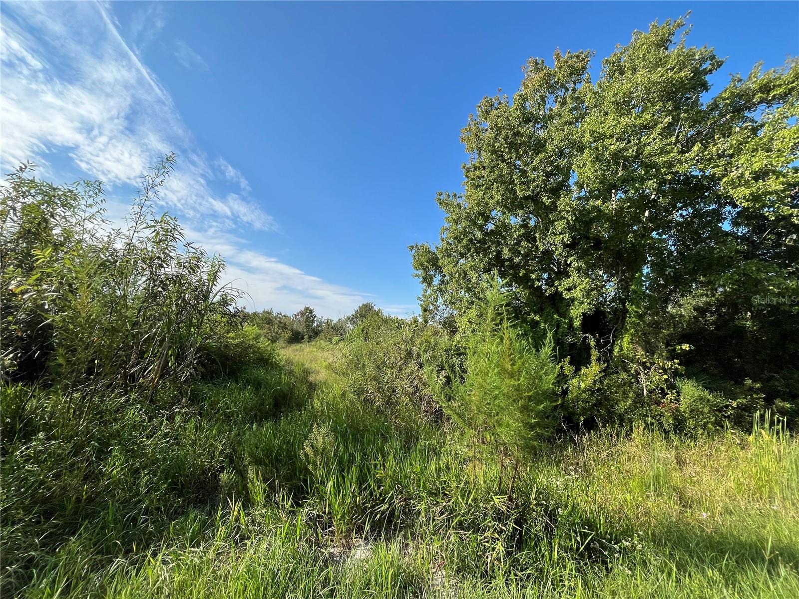 19466 NW 258TH ST, OKEECHOBEE, FL, 34972
