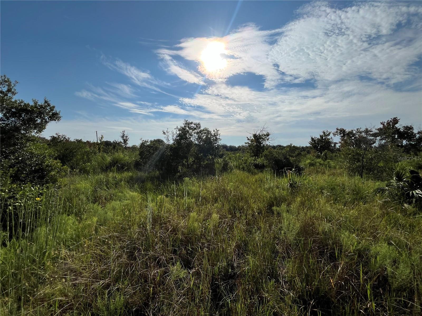 19466 NW 258TH ST, OKEECHOBEE, FL, 34972