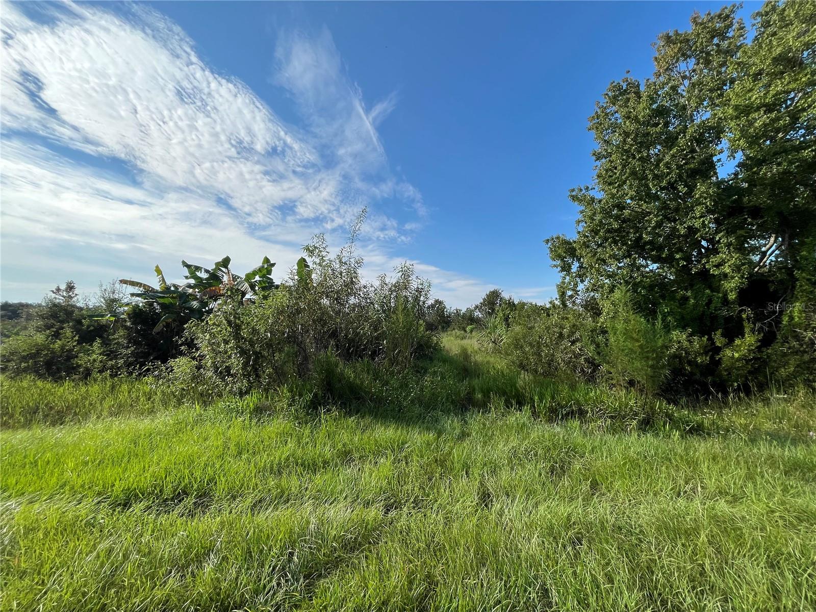 19466 NW 258TH ST, OKEECHOBEE, FL, 34972