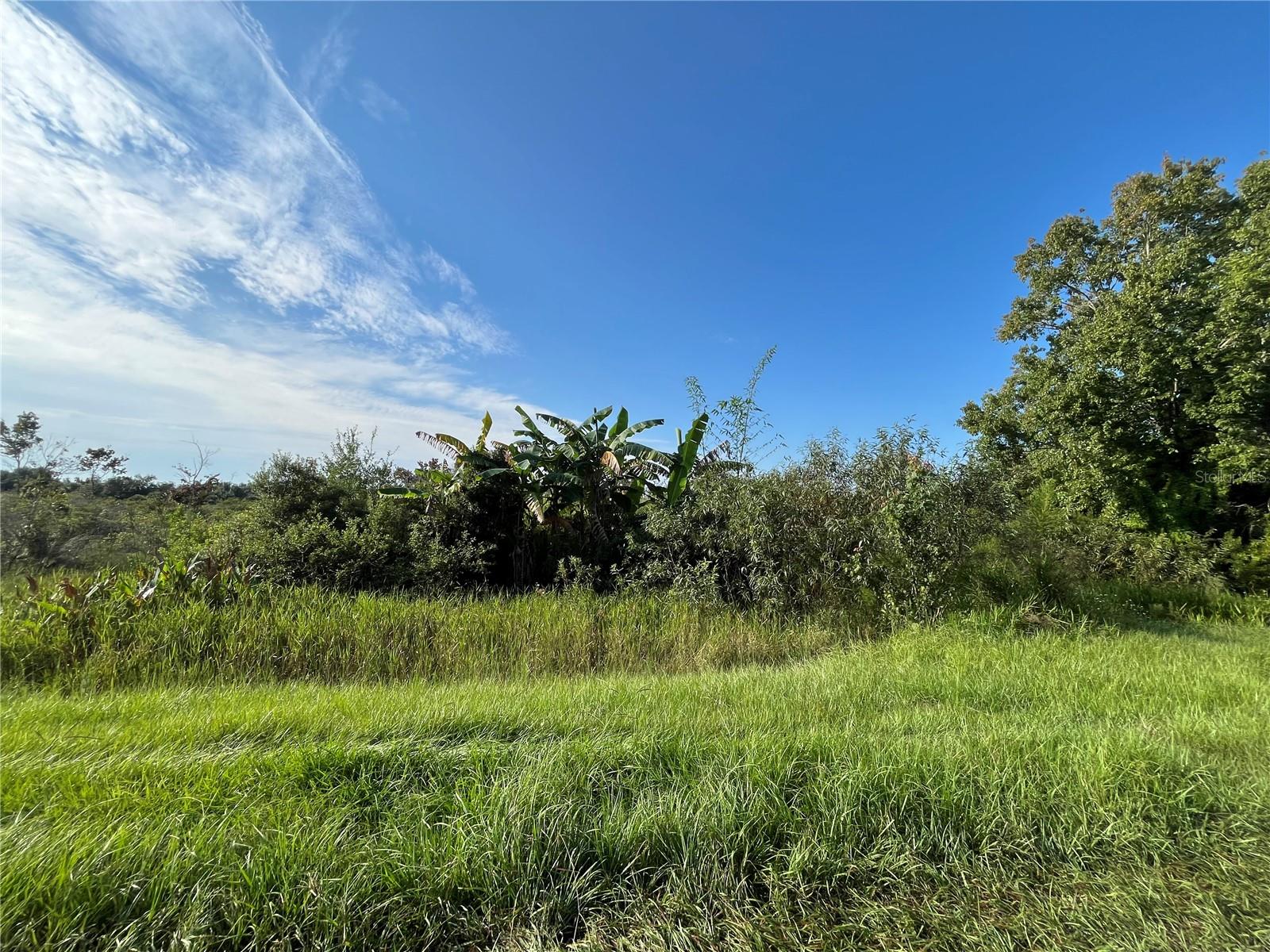 19466 NW 258TH ST, OKEECHOBEE, FL, 34972