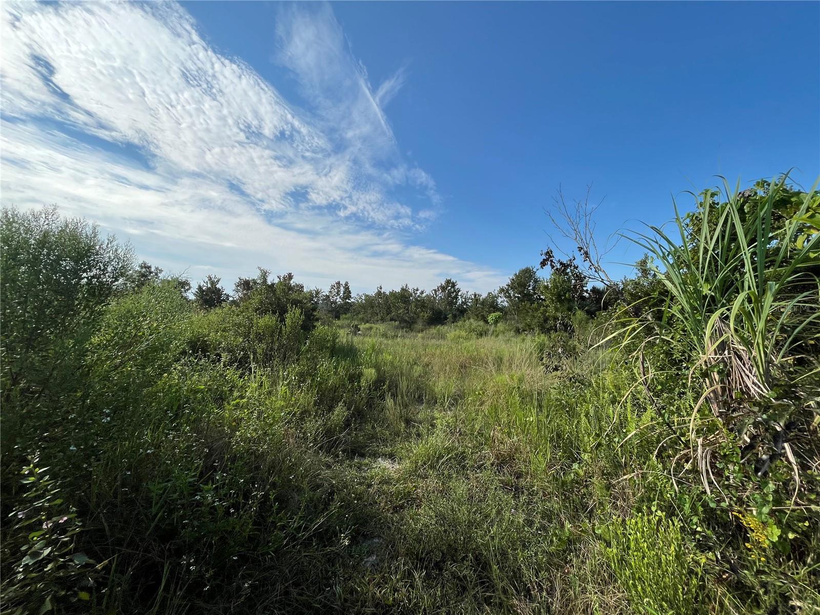 19466 NW 258TH ST, OKEECHOBEE, FL, 34972