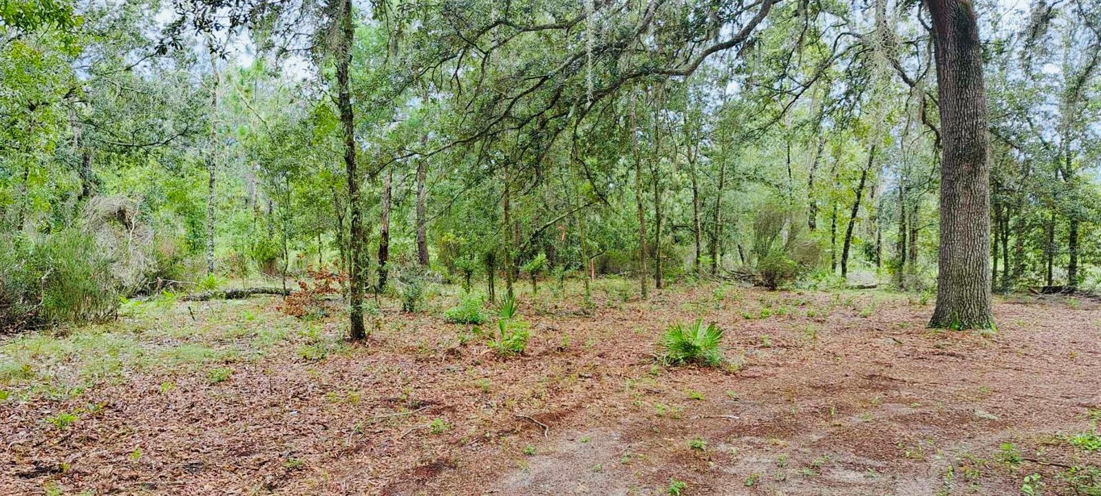 9990 NE 76TH ST, BRONSON, FL, 32621
