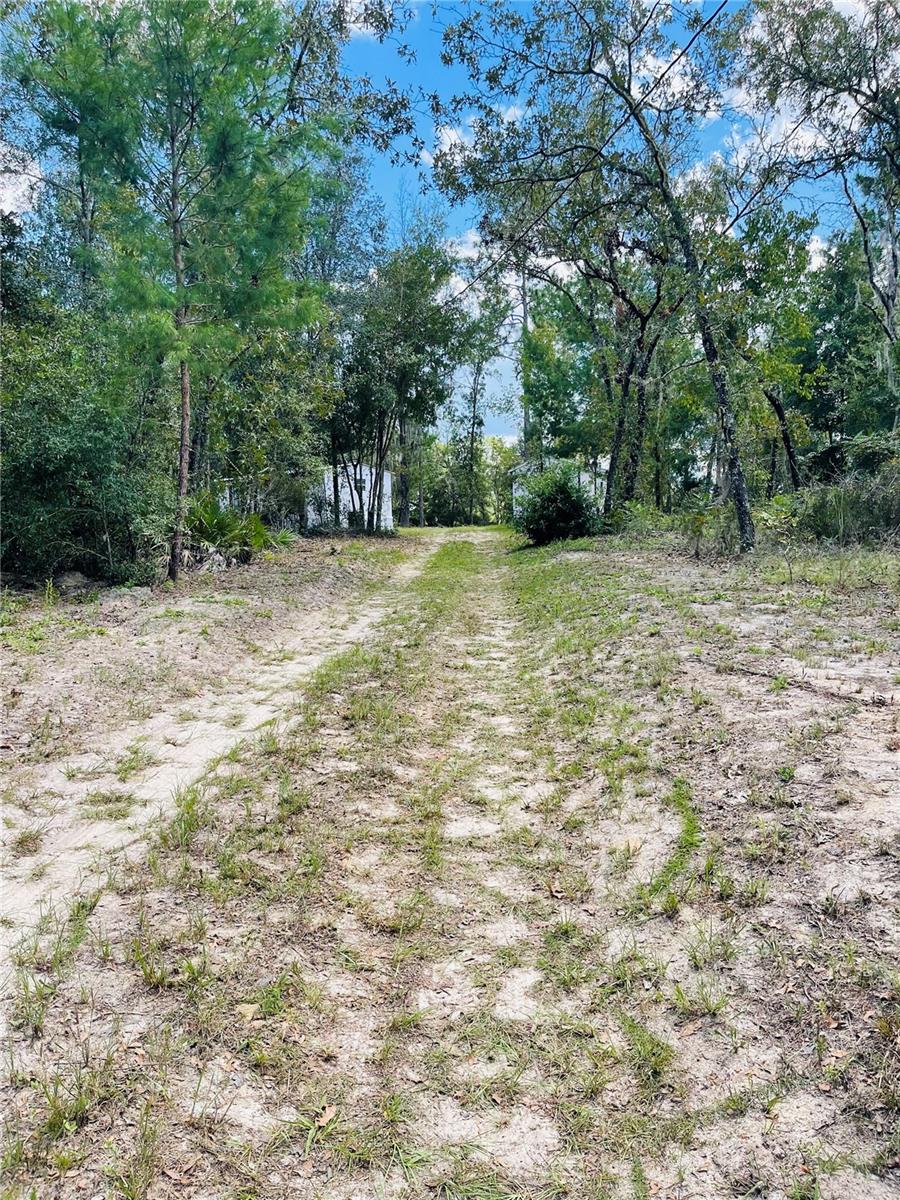 9990 NE 76TH ST, BRONSON, FL, 32621