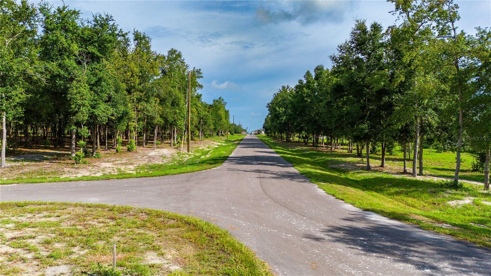 14857 CRIMSON OAKS TRL, DADE CITY, FL, 33525