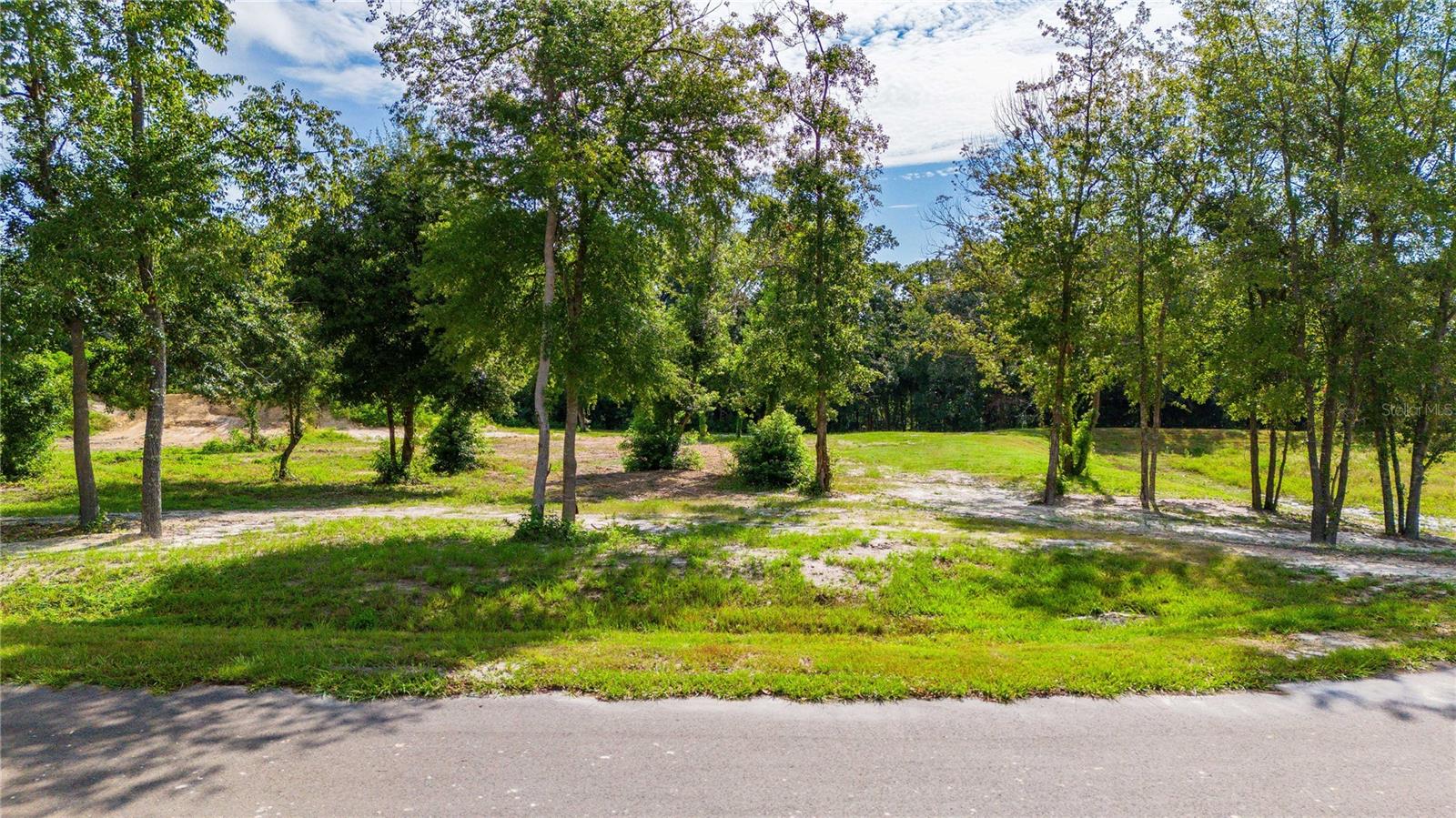 14770 CRIMSON OAKS TRL, DADE CITY, FL, 33525