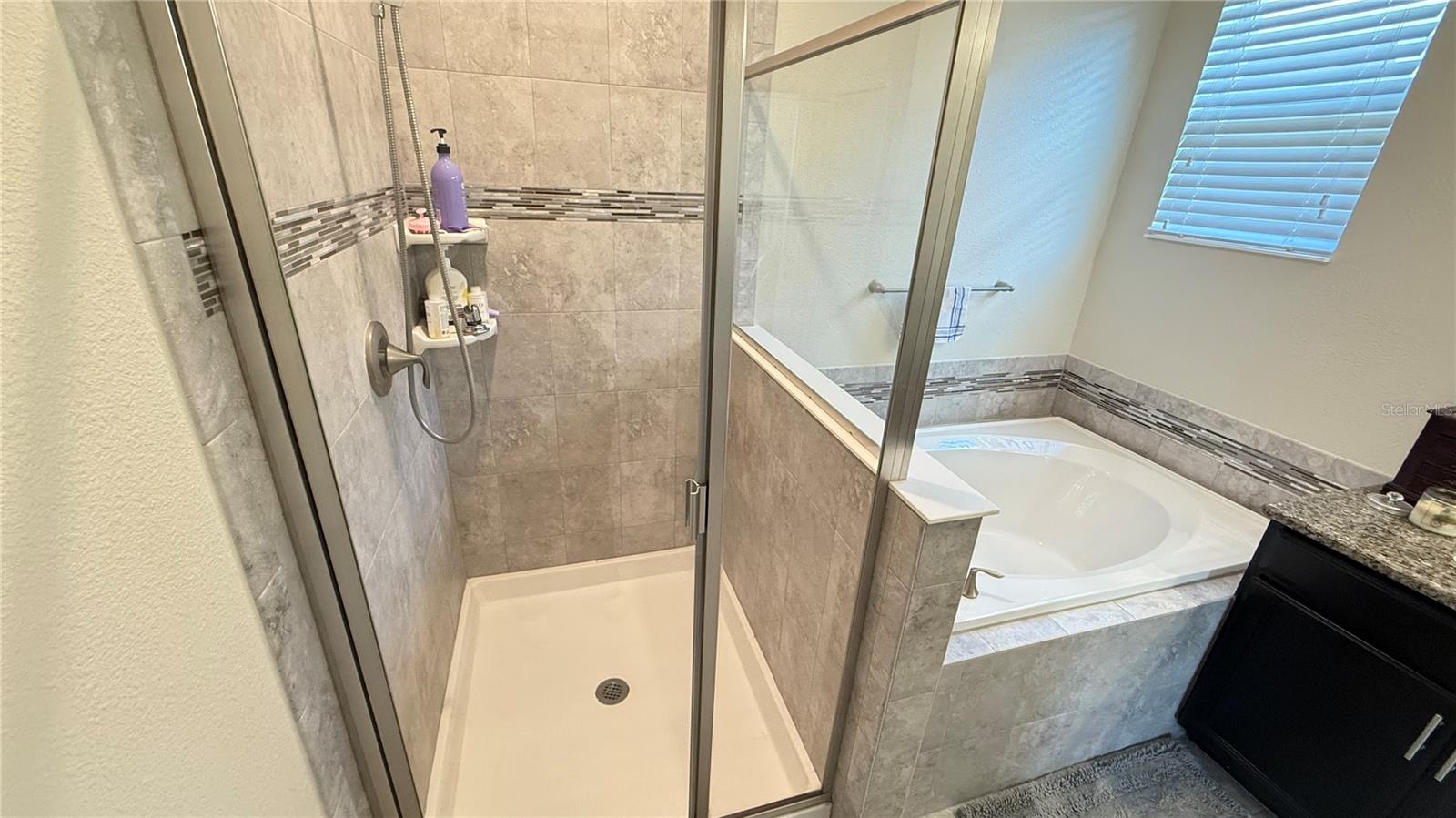 4183 CORTLAND DR, DAVENPORT, FL, 33837