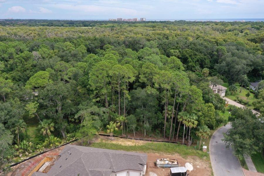 165 WILLOW OAK WAY, PALM COAST, FL, 32137