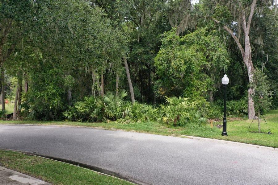 165 WILLOW OAK WAY, PALM COAST, FL, 32137