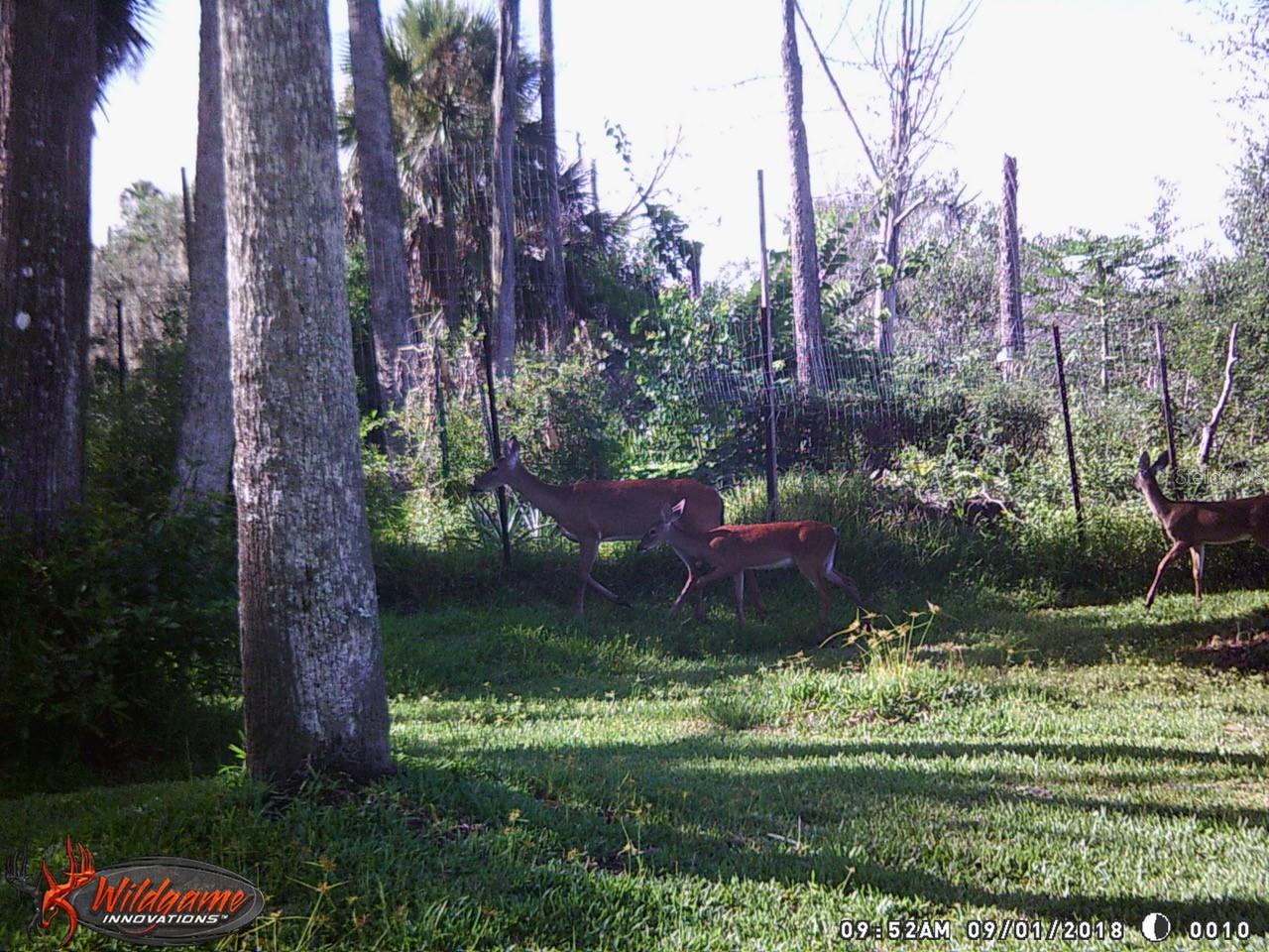 165 WILLOW OAK WAY, PALM COAST, FL, 32137