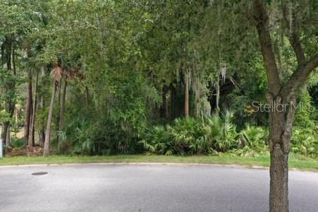 165 WILLOW OAK WAY, PALM COAST, FL, 32137