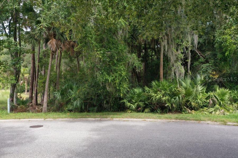 165 WILLOW OAK WAY, PALM COAST, FL, 32137