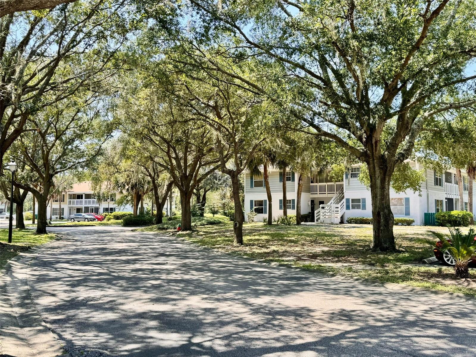 8206 FAIRWAYS CIR #B204, OCALA, FL, 34472