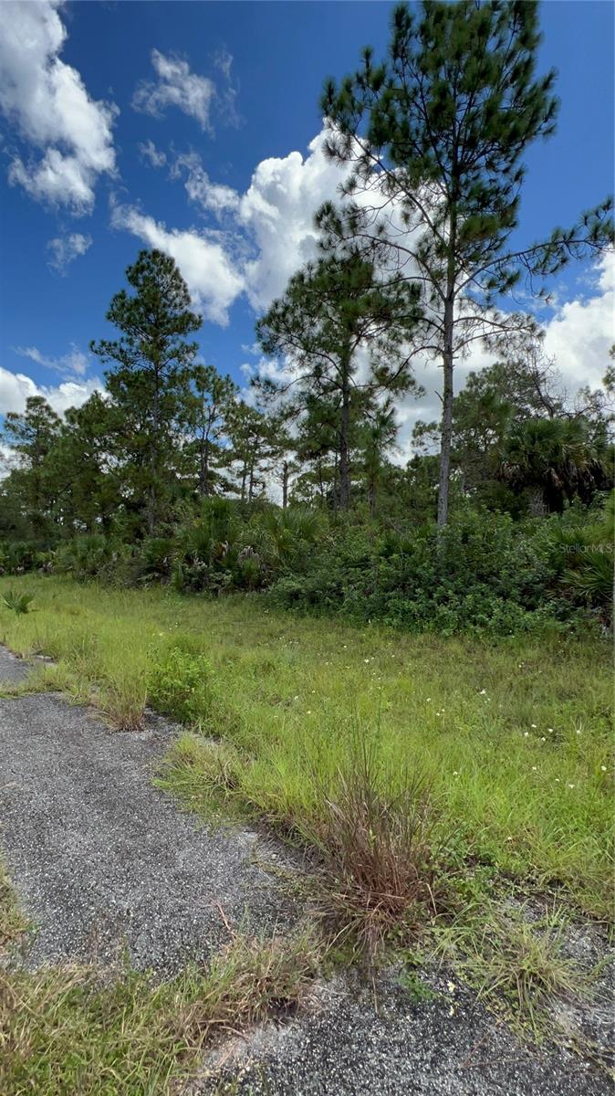 313 JAMES IRWIN TER, LABELLE, FL, 33935