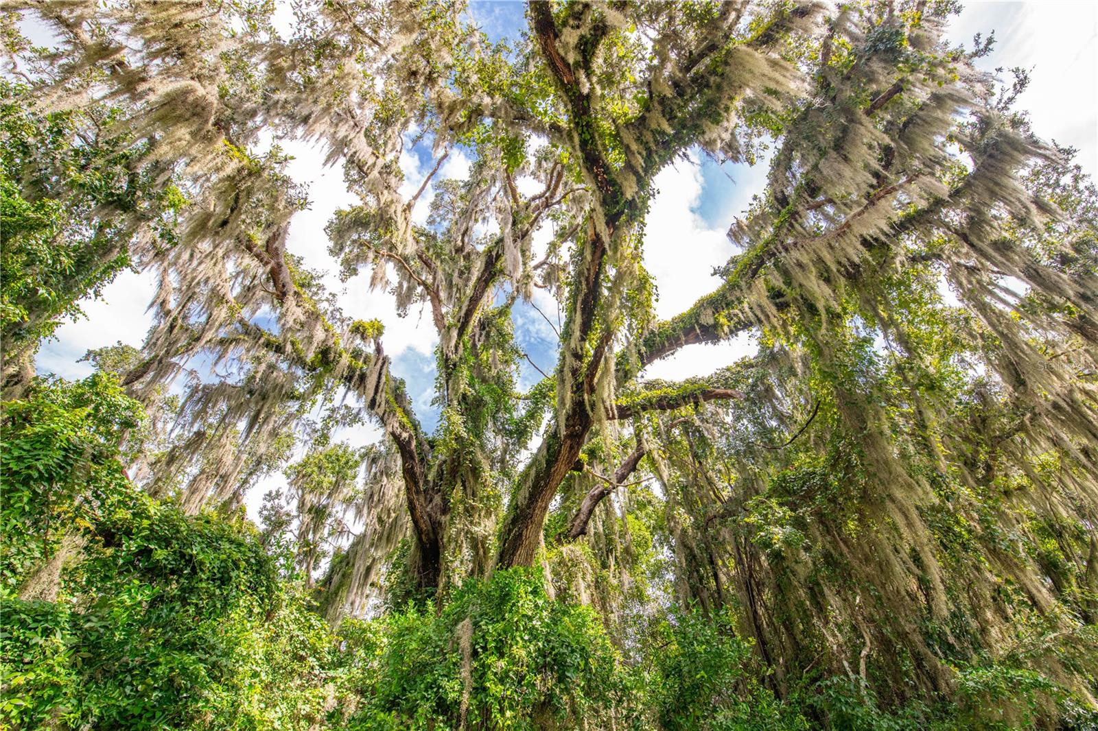 00 WHITMAN RD, BROOKSVILLE, FL, 34601