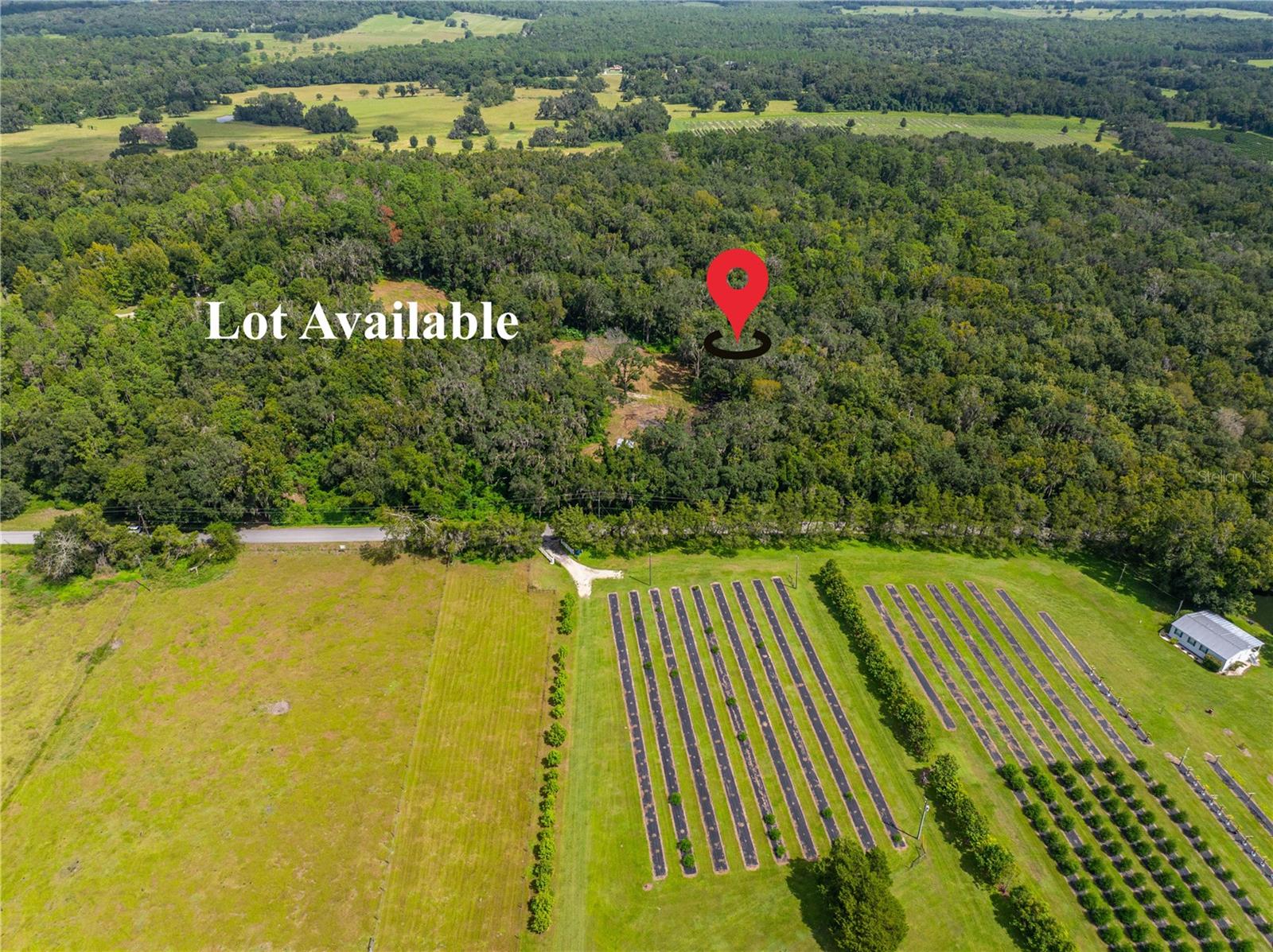 00 WHITMAN RD, BROOKSVILLE, FL, 34601