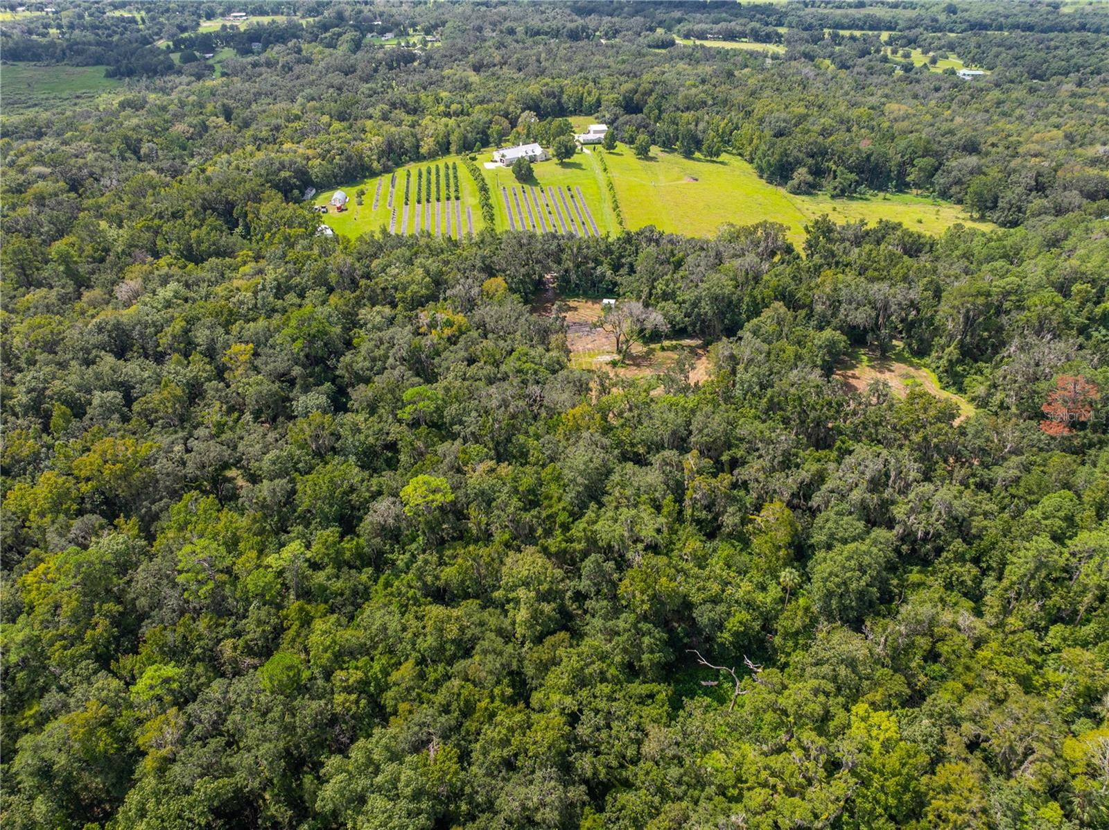 00 WHITMAN RD, BROOKSVILLE, FL, 34601