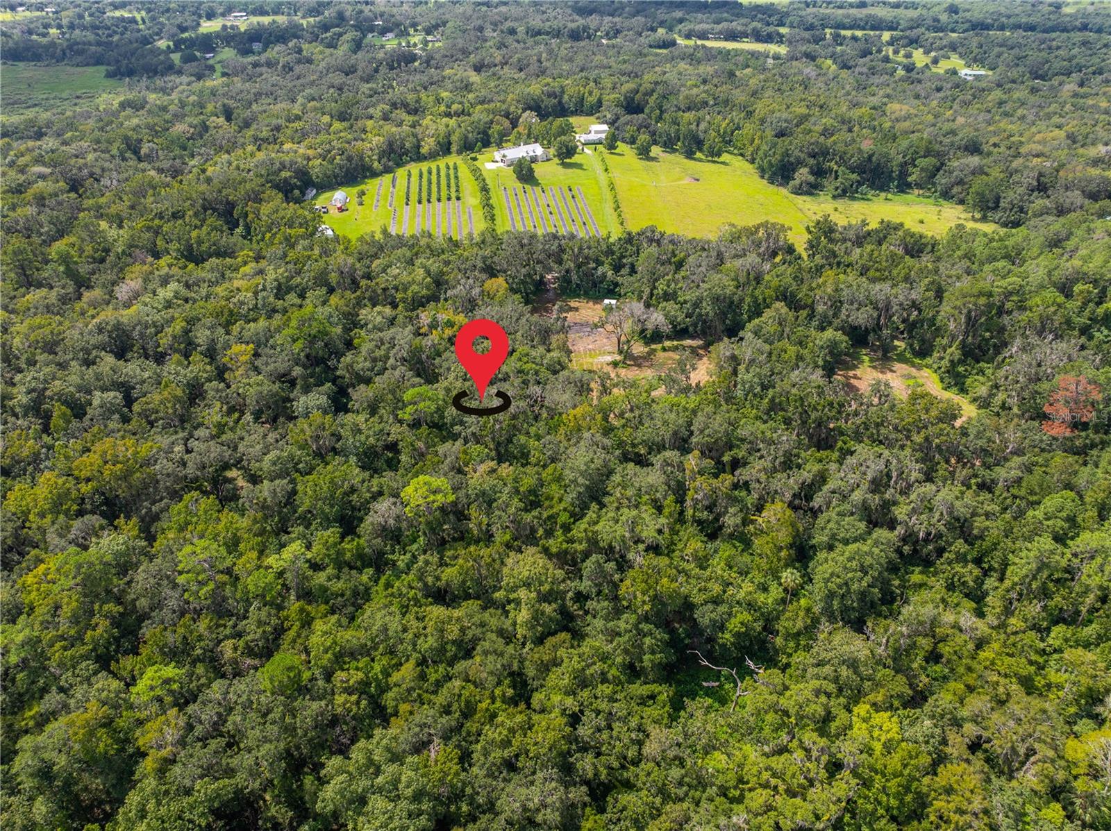 00 WHITMAN RD, BROOKSVILLE, FL, 34601