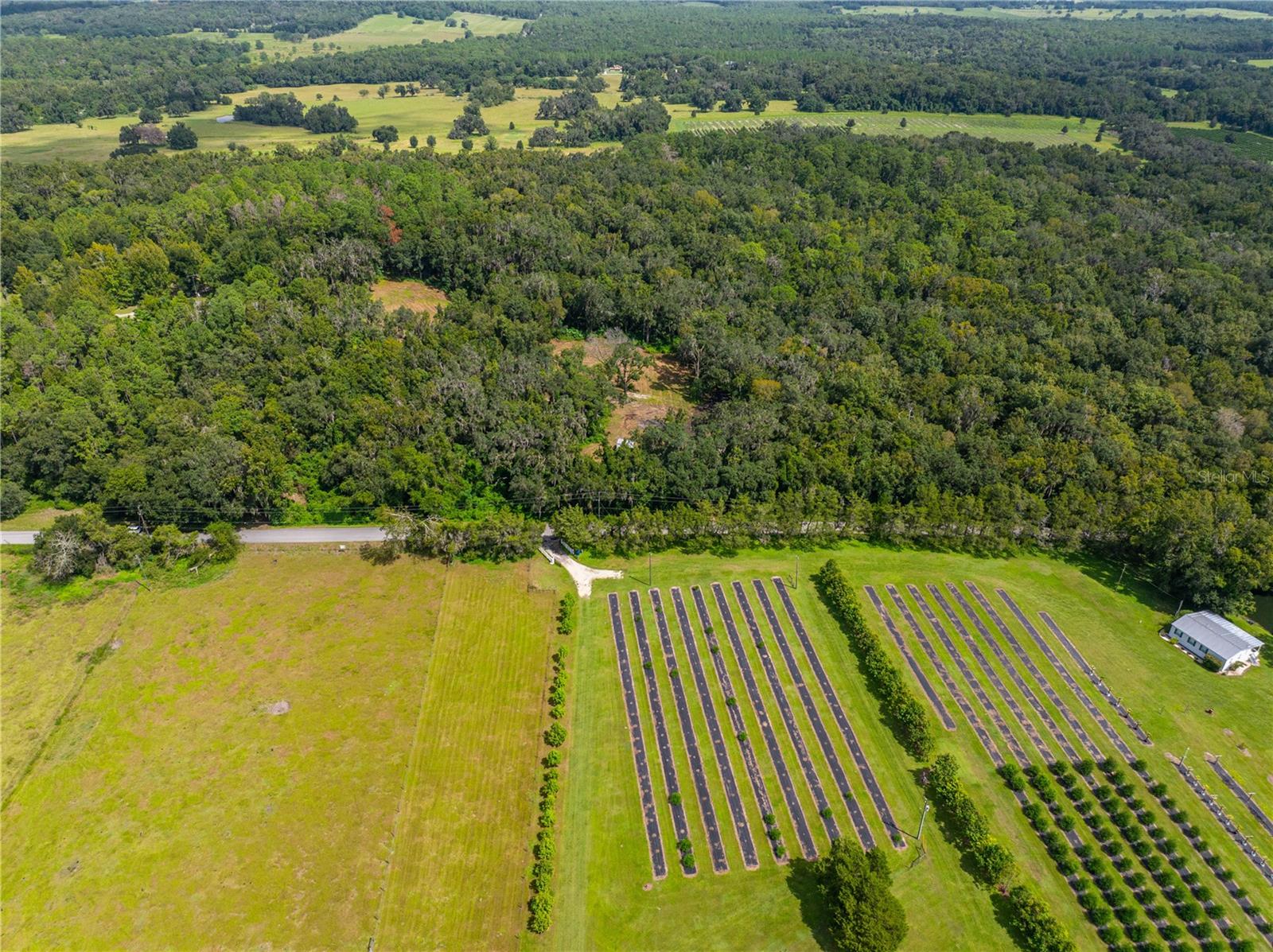 00 WHITMAN RD, BROOKSVILLE, FL, 34601