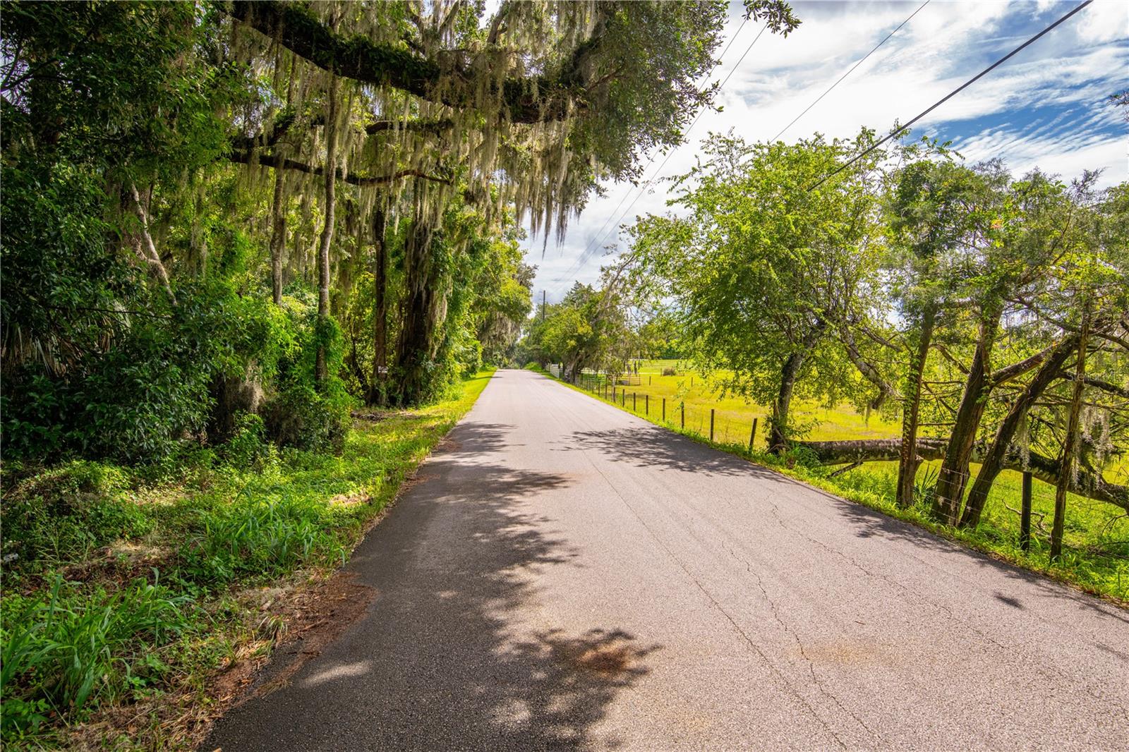 00 WHITMAN RD, BROOKSVILLE, FL, 34601
